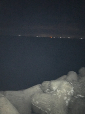 台風後の太刀魚調査