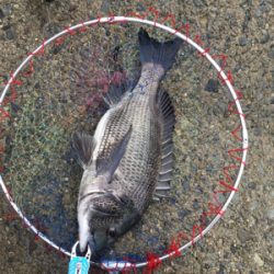 台風後の2日後は大時化！