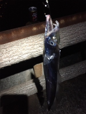 まだまだ小さい