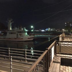 広島市内、夏メバル厳しく…