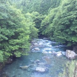 ウナギ釣り失敗