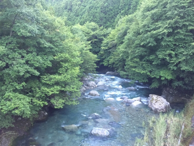 ウナギ釣り失敗