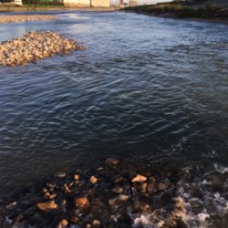 夕方ナマズ釣り