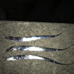 台風前と台風後、一転！