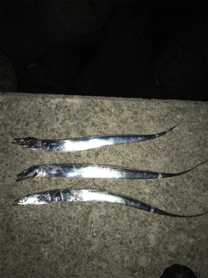 台風前と台風後、一転！