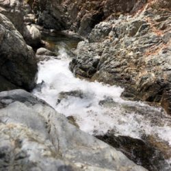 揖保川渓流釣り