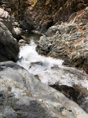 揖保川渓流釣り