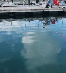 釣り堀、田尻サンクスコースで