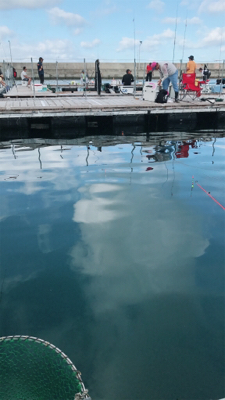 釣り堀、田尻サンクスコースで