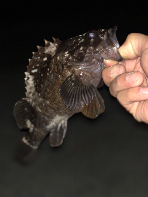 いい場所みっけ