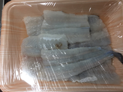 初の淡輪でサンマの切り身でガシラ狙い