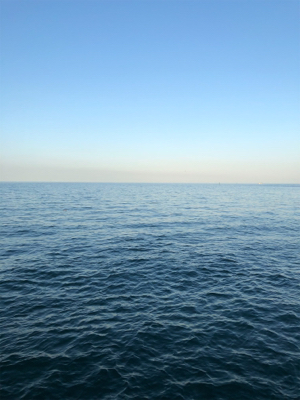 台風後タチウオ