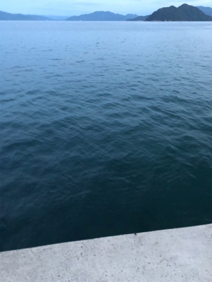 イカ釣りのはずが