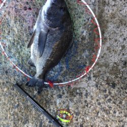 白波と濁りは最高！