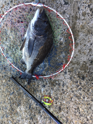 白波と濁りは最高！