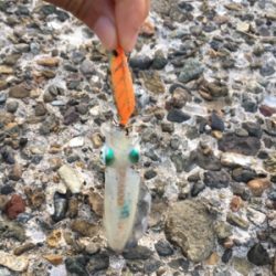 仕事終わりエギング