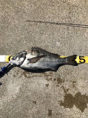 あと少しで年無し