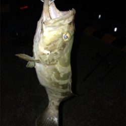 壱岐島釣行2日目