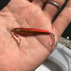 ULSJでのサバゲーム