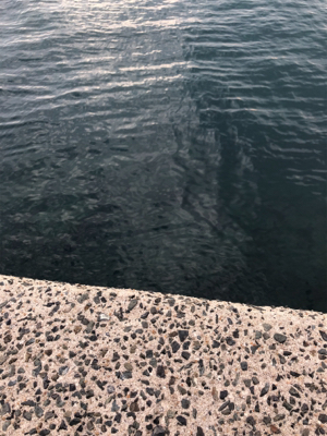 エギングちょい遠征