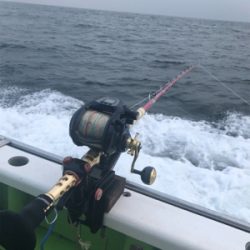 小網代からカツオ・キハダ船