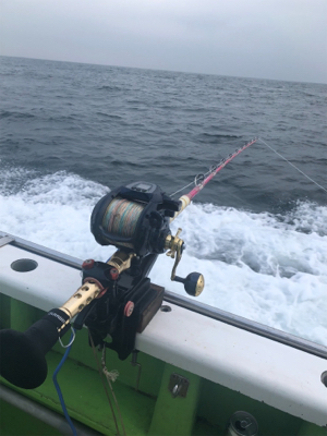 小網代からカツオ・キハダ船