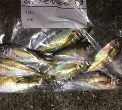 豆渋～基本のボトム