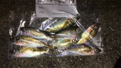 豆渋～基本のボトム