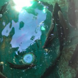 孝洋丸で落とし込み