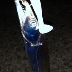 下手な太刀狩り