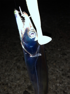 下手な太刀狩り