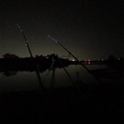 うなぎ釣りにてまさかの外道