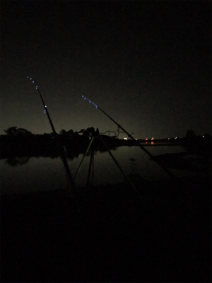 うなぎ釣りにてまさかの外道