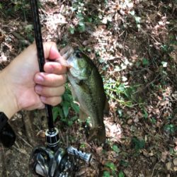 淡路島でバス釣り！！