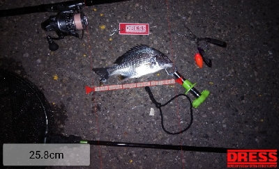 久し振りの尼崎閘門前