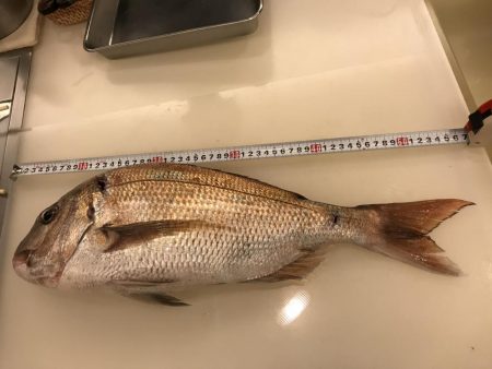 ショアジギング第1弾