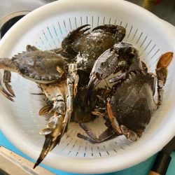 まだまだイケる＾＾v