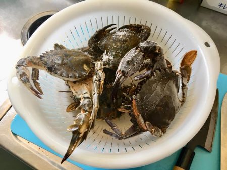 まだまだイケる＾＾v