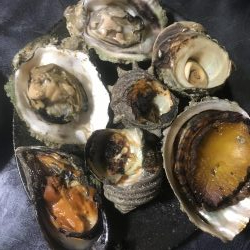 恒例の盆休み 船釣り修行