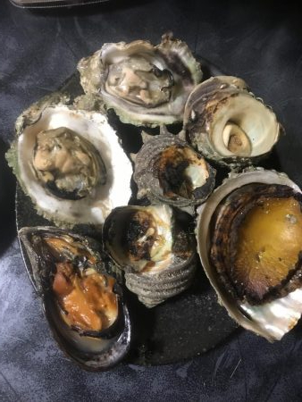 恒例の盆休み 船釣り修行