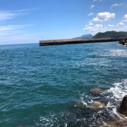 カマスパーティー