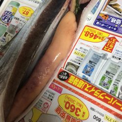 ワインドでドラゴン