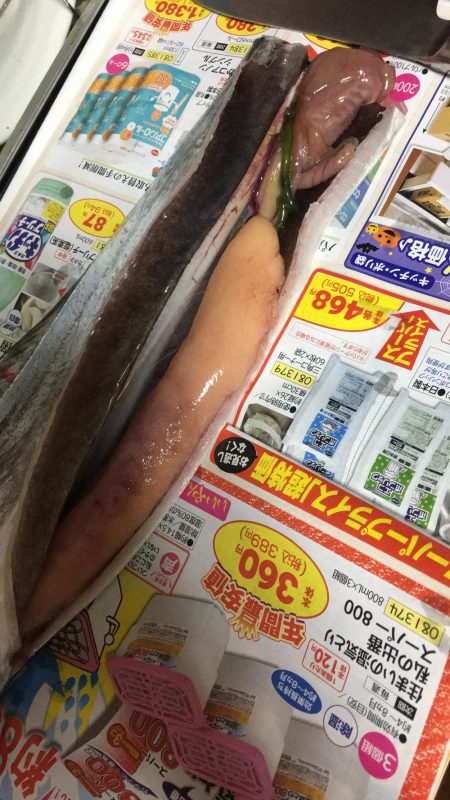 ワインドでドラゴン