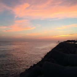 これからが楽しみだ！