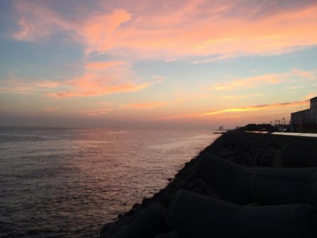 これからが楽しみだ！