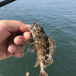 1年ぶりリベンジ釣行!