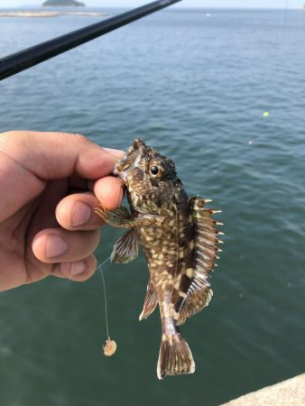 1年ぶりリベンジ釣行!