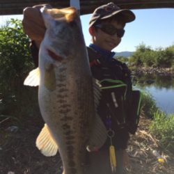 スレてるけどなんとか一本