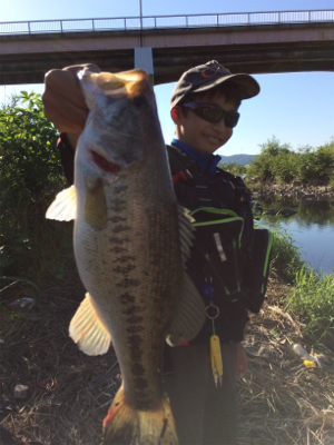 スレてるけどなんとか一本