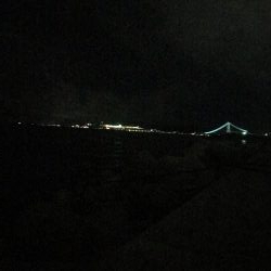 今日もサバ、サバ、サバ⁈